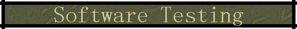Software Testing