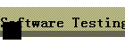 Software Testing