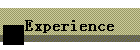 Experience
